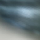 Christmas in Houston (784135)