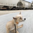 Christmas in Houston (784374)