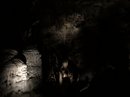 Carlsbad Caverns (784549)