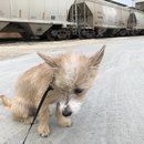 Christmas in Houston (784426)