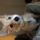 Random Atti Pics (784493)