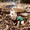 New Year's Eve Day (784451)