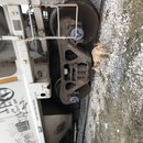 Christmas in Houston (784746)