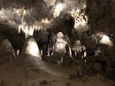 Carlsbad Caverns (785039)