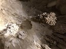 Carlsbad Caverns (784779)