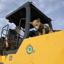 Playday with Atti (784782)