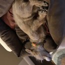 Christmas in Houston (784772)