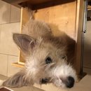 Atti in a Drawer (785286)