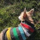 Clay Pigeons and Dave's House (785156)