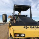 Playday with Atti (785075)