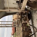 Christmas in Houston (785158)