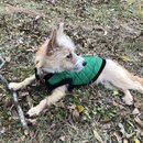 New Year's Eve Day (785300)