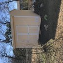 Backyard Atti (785602)