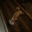 Atticus Finch! (785398)