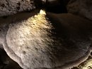 Carlsbad Caverns (785613)