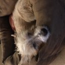 Christmas in Houston (785631)