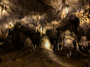 Carlsbad Caverns (785421)