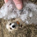 Random Atti Pics (785538)