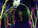 Visiting Meow Wolf with Bao (785672)