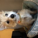 Random Atti Pics (785543)