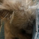 Atticus Finch! (785423)