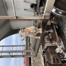 Christmas in Houston (785696)