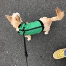 New Year's Eve Day (785773)