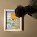 Chicago Museum of Art (785825)