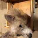 Atti in a Drawer (785970)