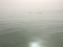 The Dead Sea (785894)