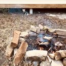 New Year's Eve Day (786253)