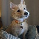 Random Atti Pics (786153)