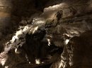 Carlsbad Caverns (786332)