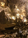 Carlsbad Caverns (786114)