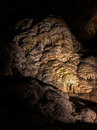 Carlsbad Caverns (786287)