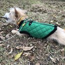 New Year's Eve Day (786208)