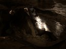 Carlsbad Caverns (786099)