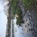 Atti Hunting Ducks at Mueller (786123)