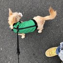 New Year's Eve Day (786467)