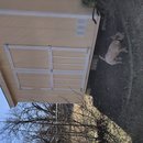 Backyard Atti (786504)