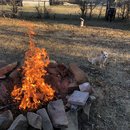 Fire Pit with Atters (786446)