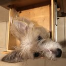 Atti in a Drawer (786475)