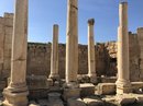 Jerash, Amman, Jordan (786901)