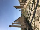 Jerash, Amman, Jordan (786871)