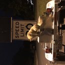 Featuring, Atti! (787056)