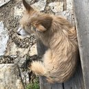 Featuring, Atti! (787189)