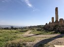 Jerash, Amman, Jordan (786986)