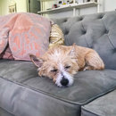 Featuring, Atti! (787072)