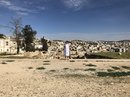 Jerash, Amman, Jordan (787216)