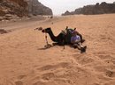 Wadi Rum Desert Tour (787006)